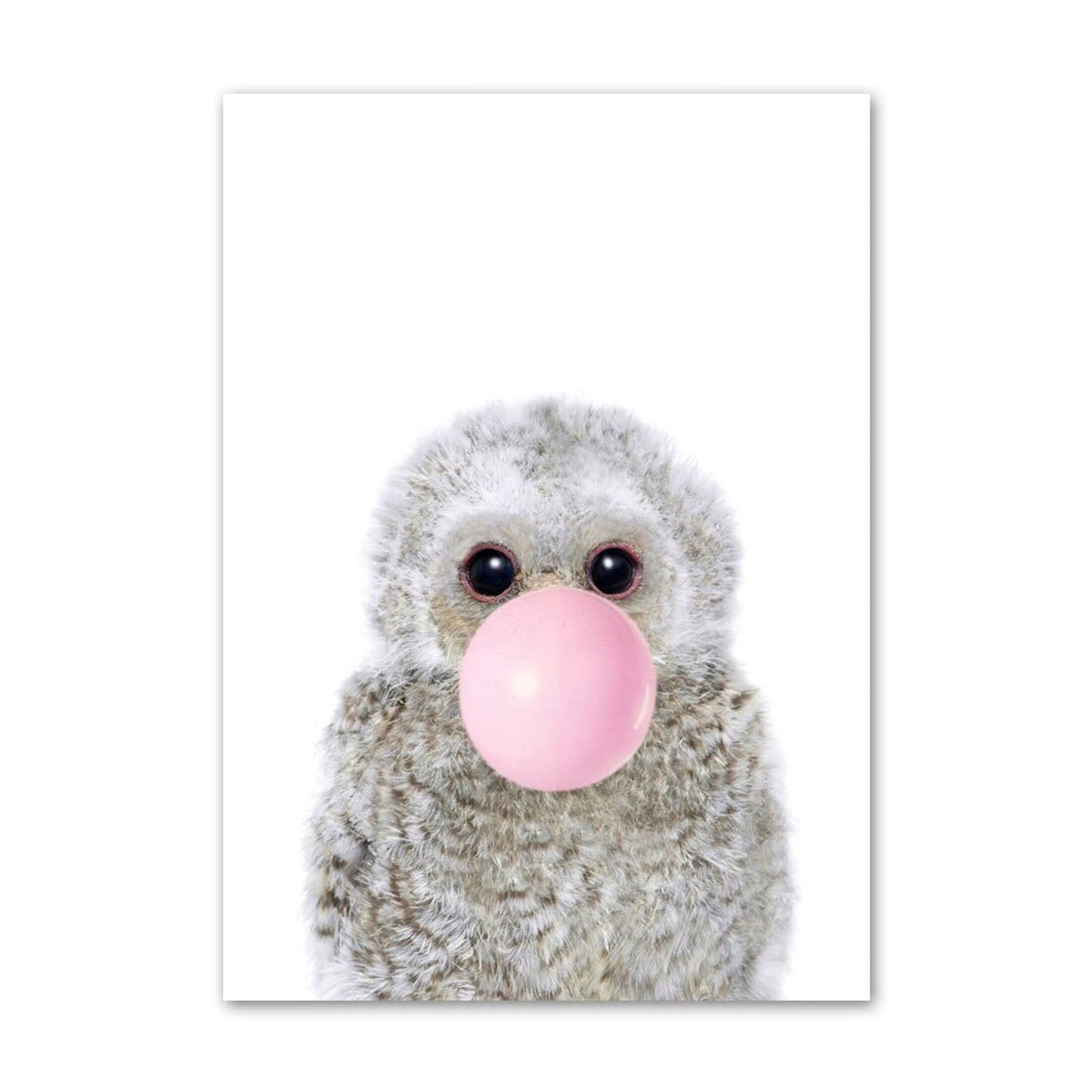 Poster Safari Gum - ohne Rahmen