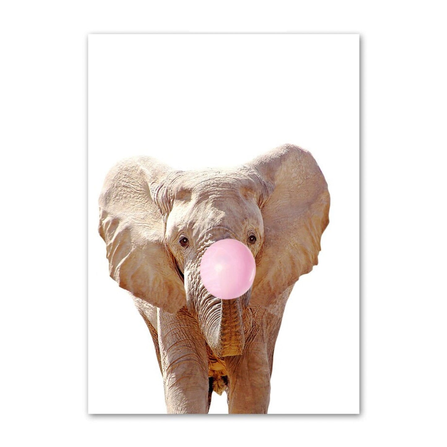 Poster Safari Gum - ohne Rahmen